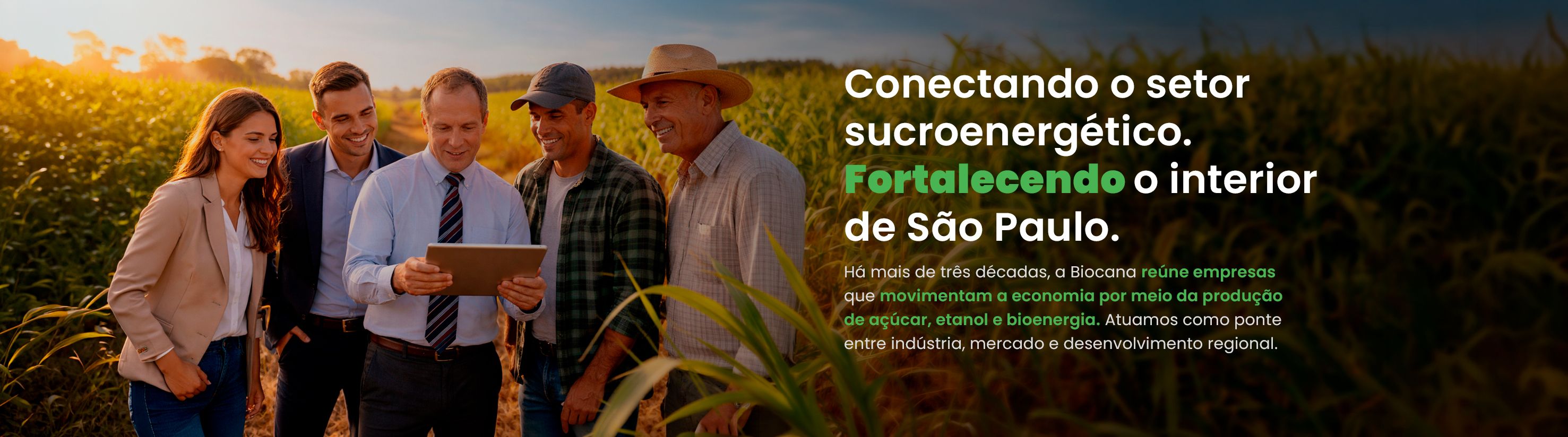 Especialistas e profissionais do setor sucroenergético